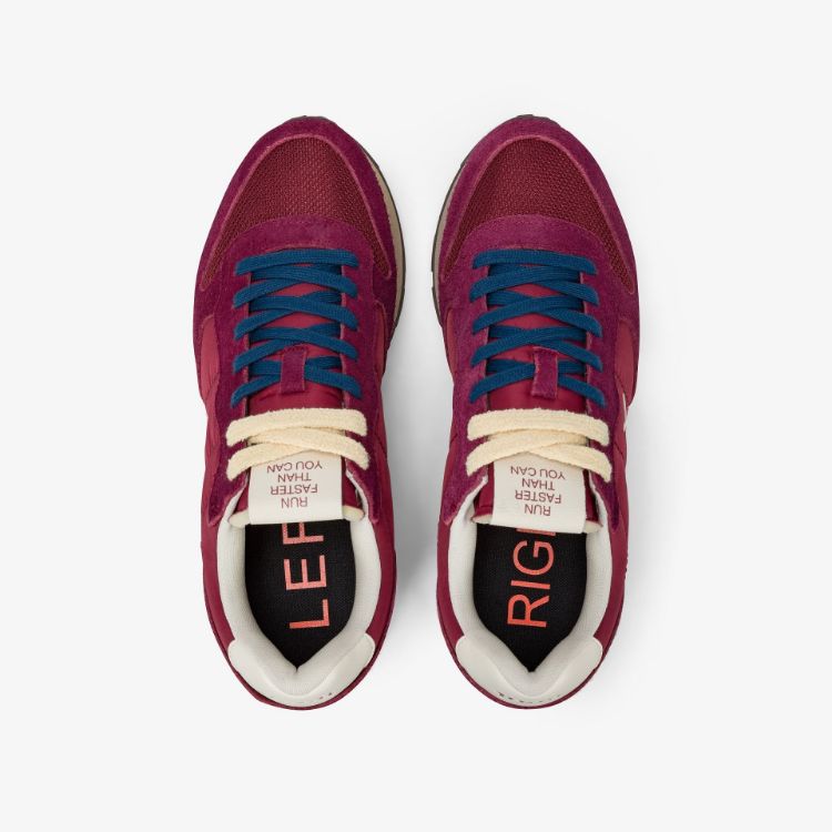 Immagine di Sneaker Tom Vintage in nylon e suede bordeaux
